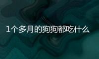 1個多月的狗狗都吃什么水果好