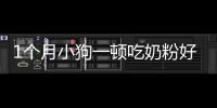 1個(gè)月小狗一頓吃奶粉好嗎
