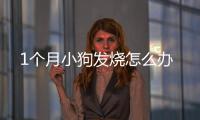 1個月小狗發燒怎么辦