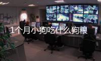 1個月小狗吃什么狗糧