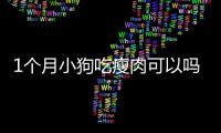 1個月小狗吃瘦肉可以嗎