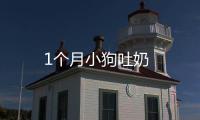 1個月小狗吐奶