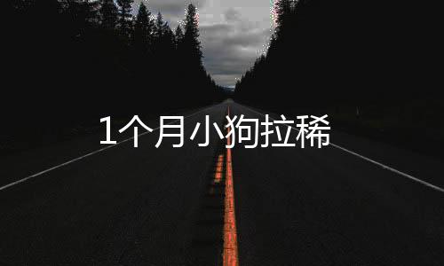 1個月小狗拉稀