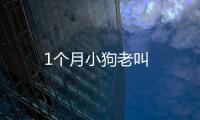 1個月小狗老叫