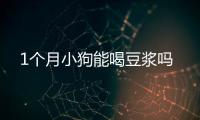 1個月小狗能喝豆?jié){嗎