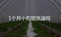 1個月小狗能洗澡嗎
