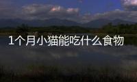 1個月小貓能吃什么食物？1個月小貓能吃什么水果