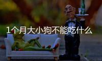 1個月大小狗不能吃什么