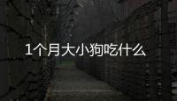 1個月大小狗吃什么