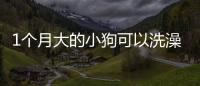 1個(gè)月大的小狗可以洗澡嗎