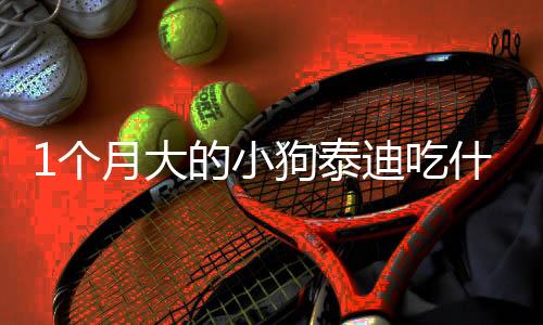 1個月大的小狗泰迪吃什么比較好