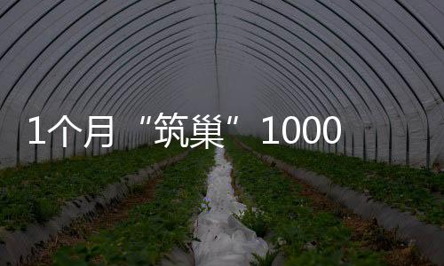 1個月“筑巢”1000+小區！三翼鳥又上新1400+場景方案