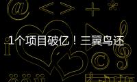 1個(gè)項(xiàng)目破億！三翼鳥還將與300家頭部地產(chǎn)合作