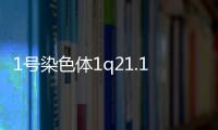 1號(hào)染色體1q21.1微重復(fù)會(huì)怎么樣