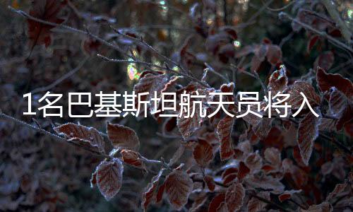 1名巴基斯坦航天員將入駐中國(guó)空間站 參與巴方科學(xué)實(shí)驗(yàn)