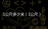 1公尺多少米（1公尺）