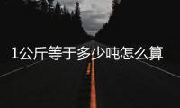 1公斤等于多少噸怎么算（1公斤等于多少噸）