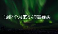 1到2個月的小狗需要買什么東西嗎