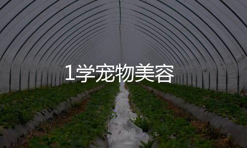1學(xué)寵物美容
