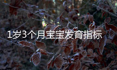 1歲3個月寶寶發育指標