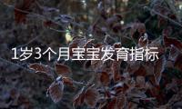 1歲3個月寶寶發(fā)育指標(biāo)