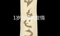 1歲公狗狗發(fā)情