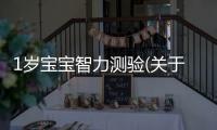 1歲寶寶智力測驗(yàn)(關(guān)于1歲寶寶智力測驗(yàn)簡述)