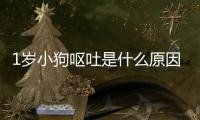 1歲小狗嘔吐是什么原因引起的