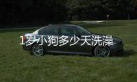 1歲小狗多少天洗澡