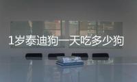 1歲泰迪狗一天吃多少狗糧(1歲泰迪狗一天吃多少克狗糧)