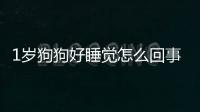 1歲狗狗好睡覺怎么回事