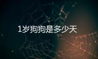 1歲狗狗是多少天