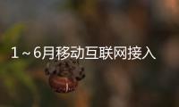 1～6月移動(dòng)互聯(lián)網(wǎng)接入流量同比增長(zhǎng)93.6%%