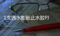 1支遇水膨脹止水膠PJ400多少錢