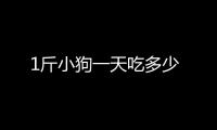 1斤小狗一天吃多少