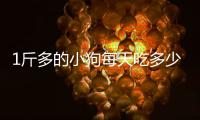 1斤多的小狗每天吃多少