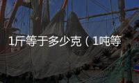 1斤等于多少克（1噸等于多少克）