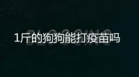1斤的狗狗能打疫苗嗎