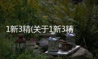 1新3精(關(guān)于1新3精簡(jiǎn)述)