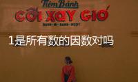 1是所有數的因數對嗎 1是所有數的因數對不對