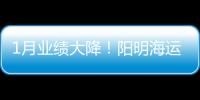 1月業績大降！陽明海運稱本季度前景仍不明朗
