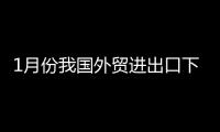 1月份我國外貿(mào)進(jìn)出口下降10.8%