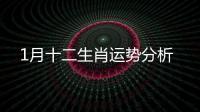 1月十二生肖運勢分析
