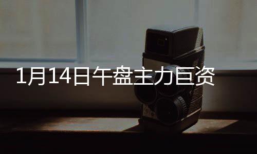 1月14日午盤主力巨資出逃四大板塊(附股)