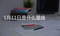 1月11日是什么星座 陽歷1月11號是什么星座