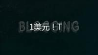 1美元！T