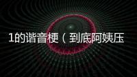1的諧音梗（到底阿姨壓一壓是什么梗？原來是諧音梗出自這部動畫片）