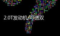 2.0T發(fā)動機/可選雙拼色車身 紅旗HS6申報圖