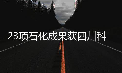 23項石化成果獲四川科技獎