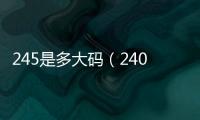 245是多大碼（240是多大碼）